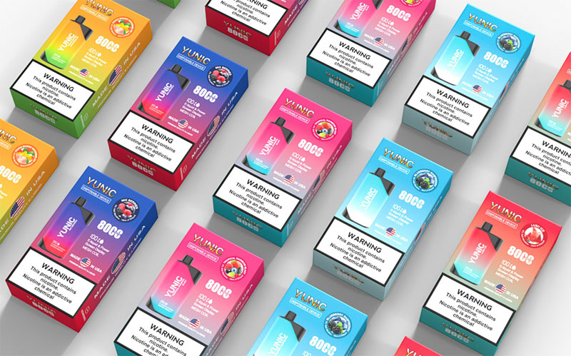 Stylish and Durable E Cigarette Case Options for Every Vaper